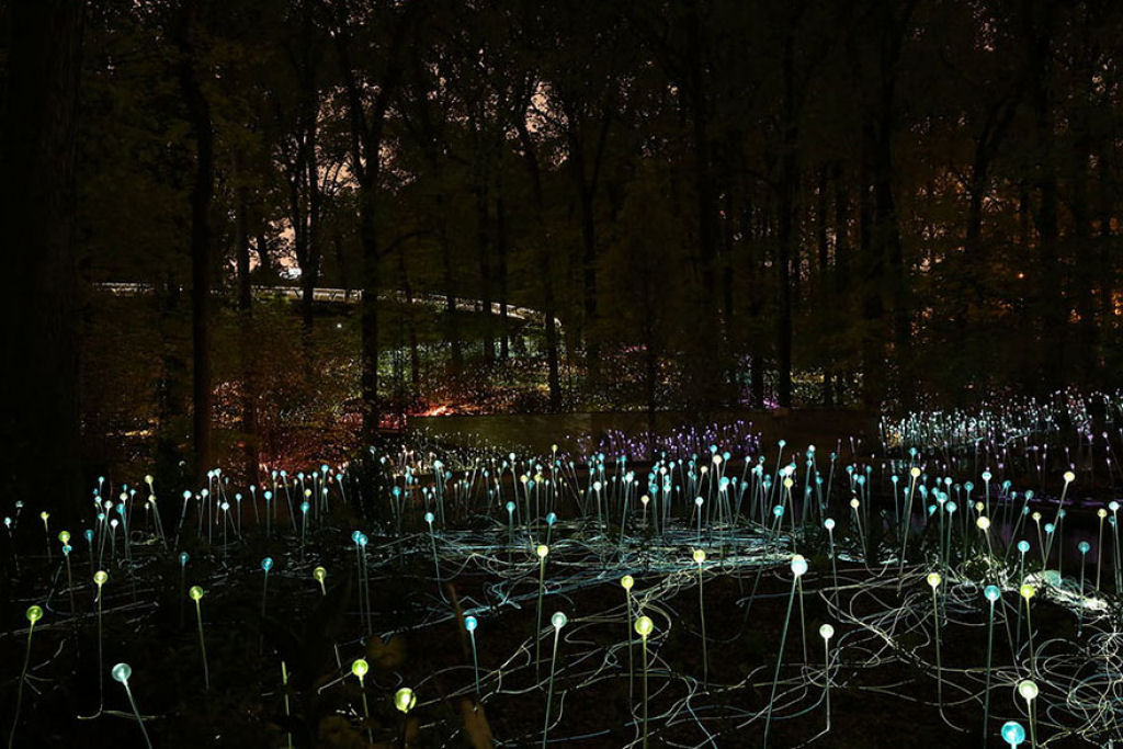 Campo de Luz: artista usa 50 mil luzes para transformar o deserto em um conto de fadas 07