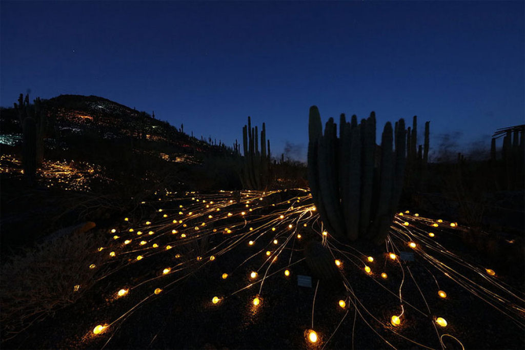 Campo de Luz: artista usa 50 mil luzes para transformar o deserto em um conto de fadas 08