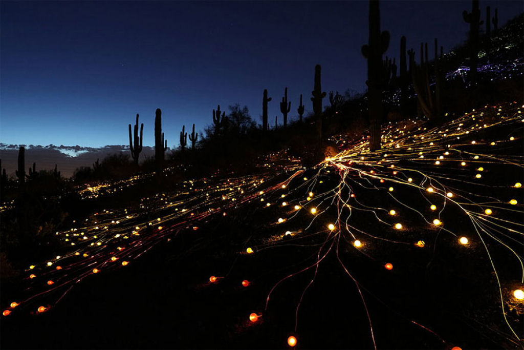 Campo de Luz: artista usa 50 mil luzes para transformar o deserto em um conto de fadas 09