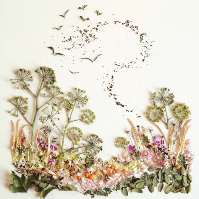 Artista cria belas colagens com flores e plantas 18