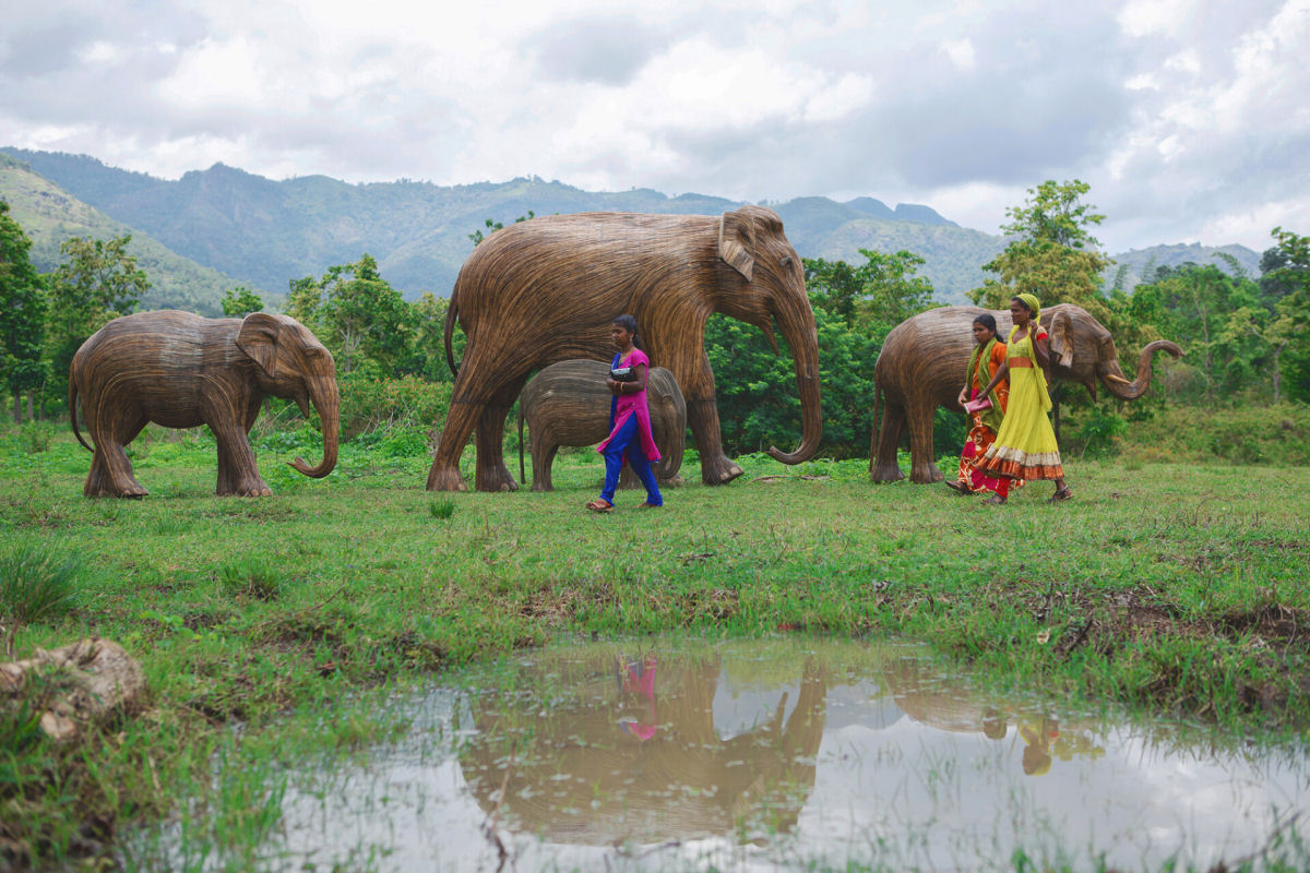 Manadas de elefantes do tamanho real perambulam por Londres em um projeto de conservação global