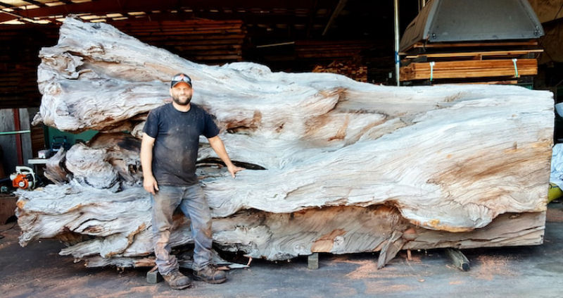 Artista usa sequoia vermelha cada para esculpir um polvo gigante com motosserra  02