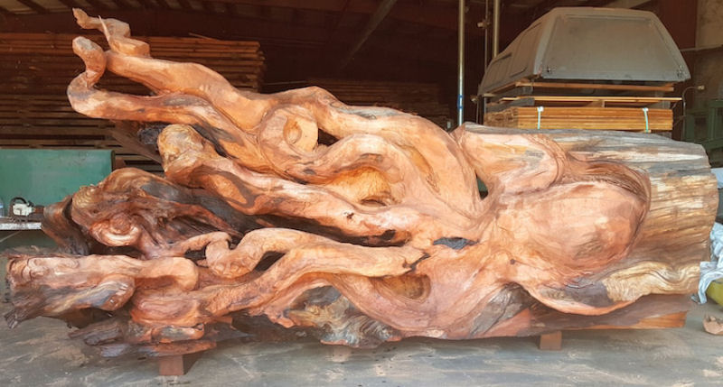 Artista usa sequoia vermelha cada para esculpir um polvo gigante com motosserra  06
