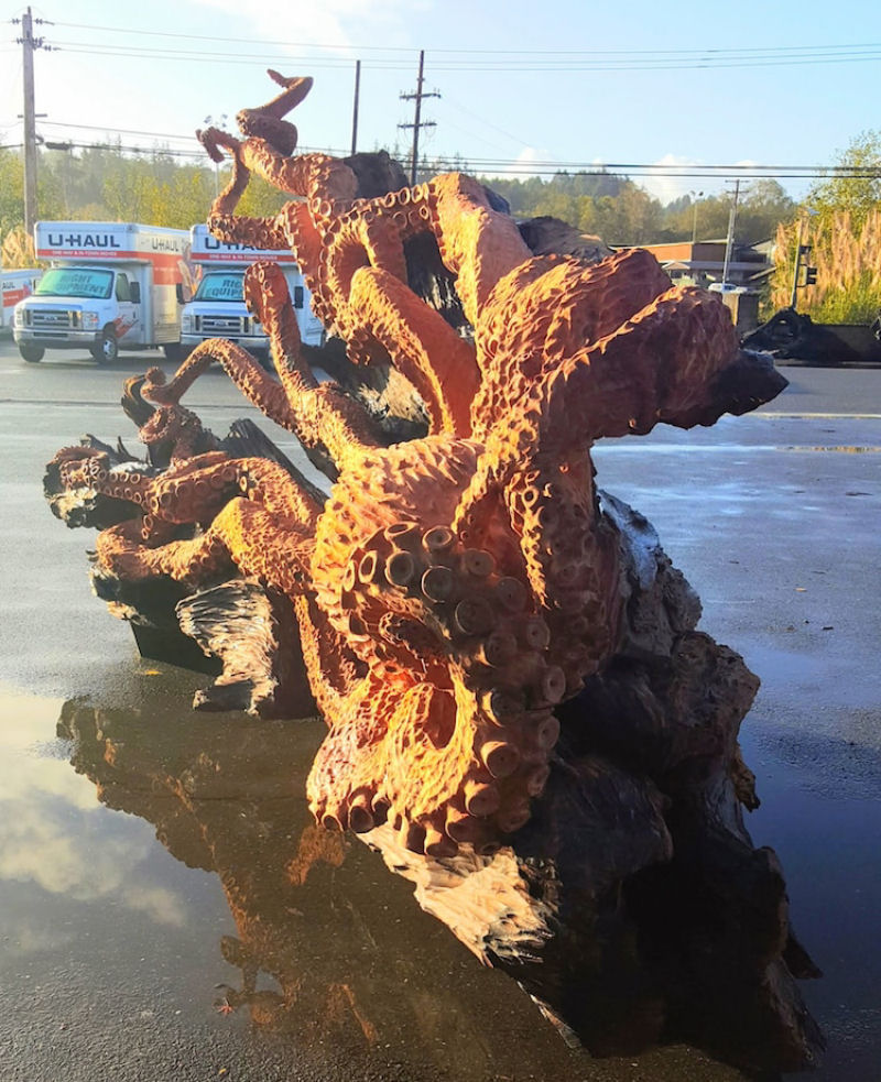 Artista usa sequoia vermelha cada para esculpir um polvo gigante com motosserra  15