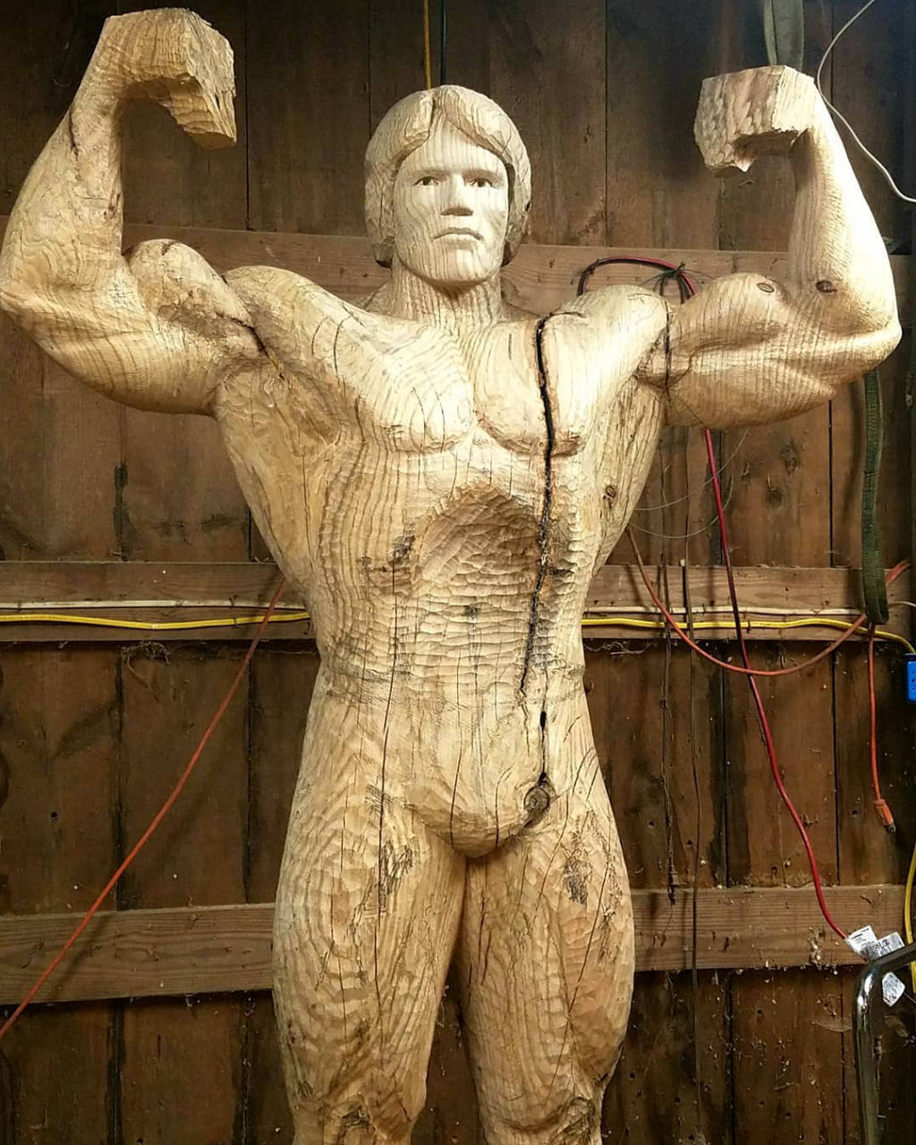 Artista esculpe incrvel escultura em tamanho natural de Schwarzenegger com um nico tronco de rvore 04
