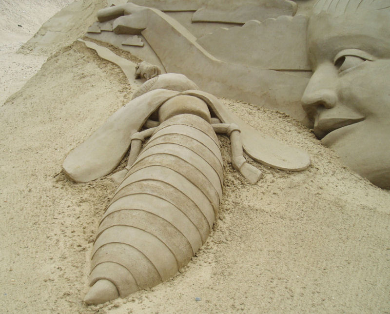 Esculturas de areia, post definitivo 2011 39
