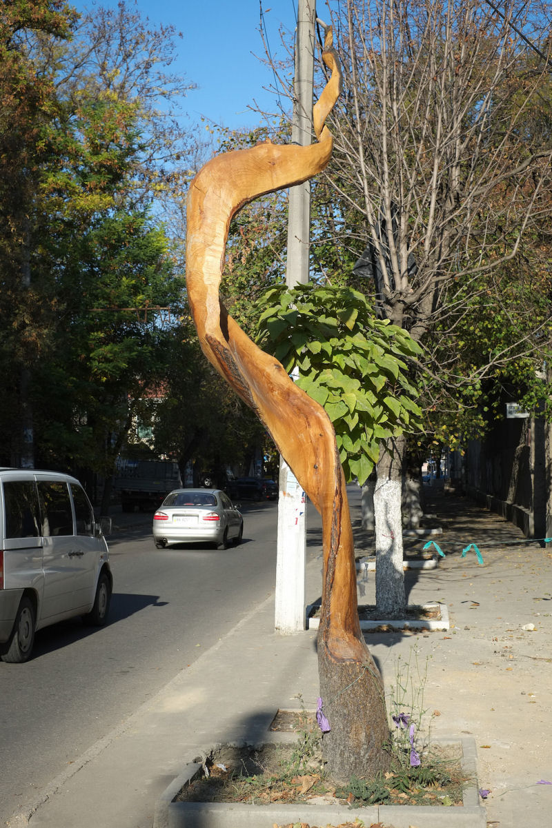 Artista autodidata transforma rvores mortas em bela obras urbanas 08