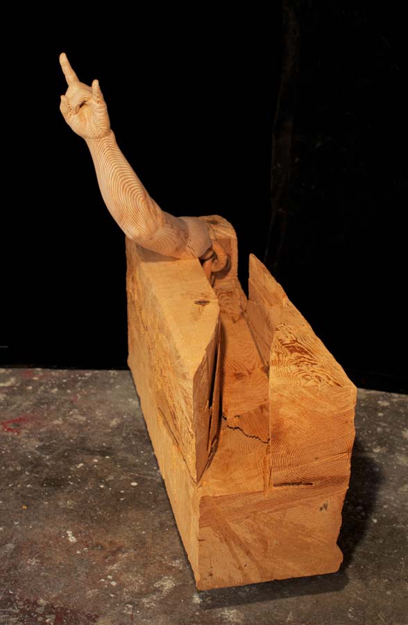 As surpreendentes esculturas de madeira de Dan Webb 11