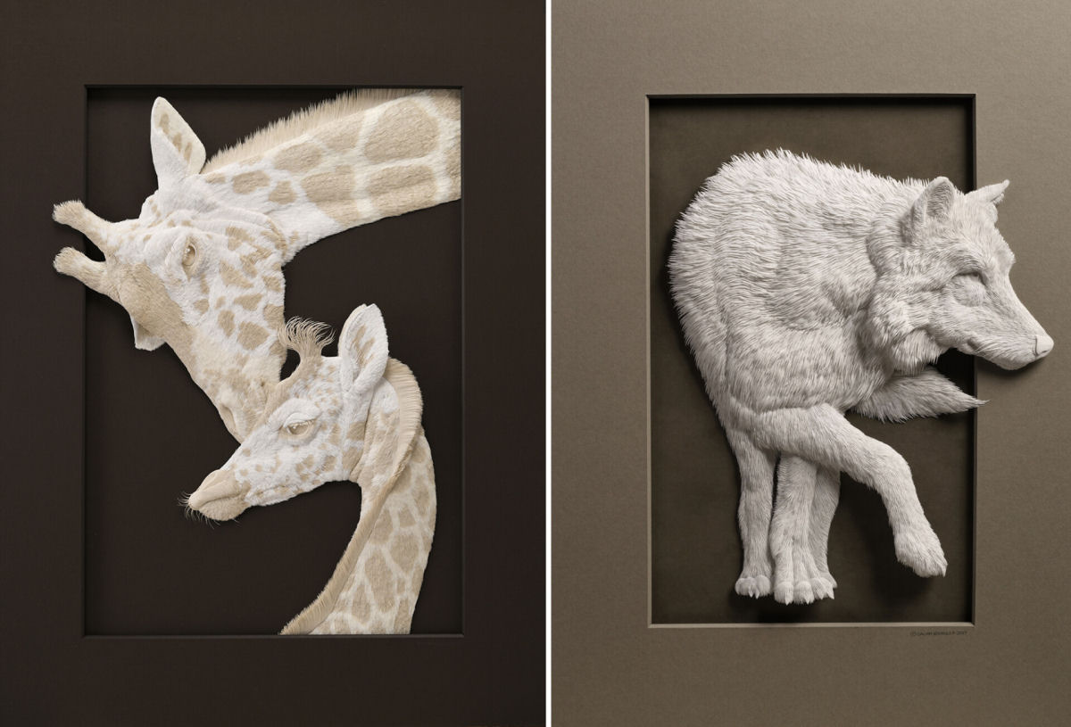 Esculturas texturizadas de animais emergem de cortes intrincados de papel 06
