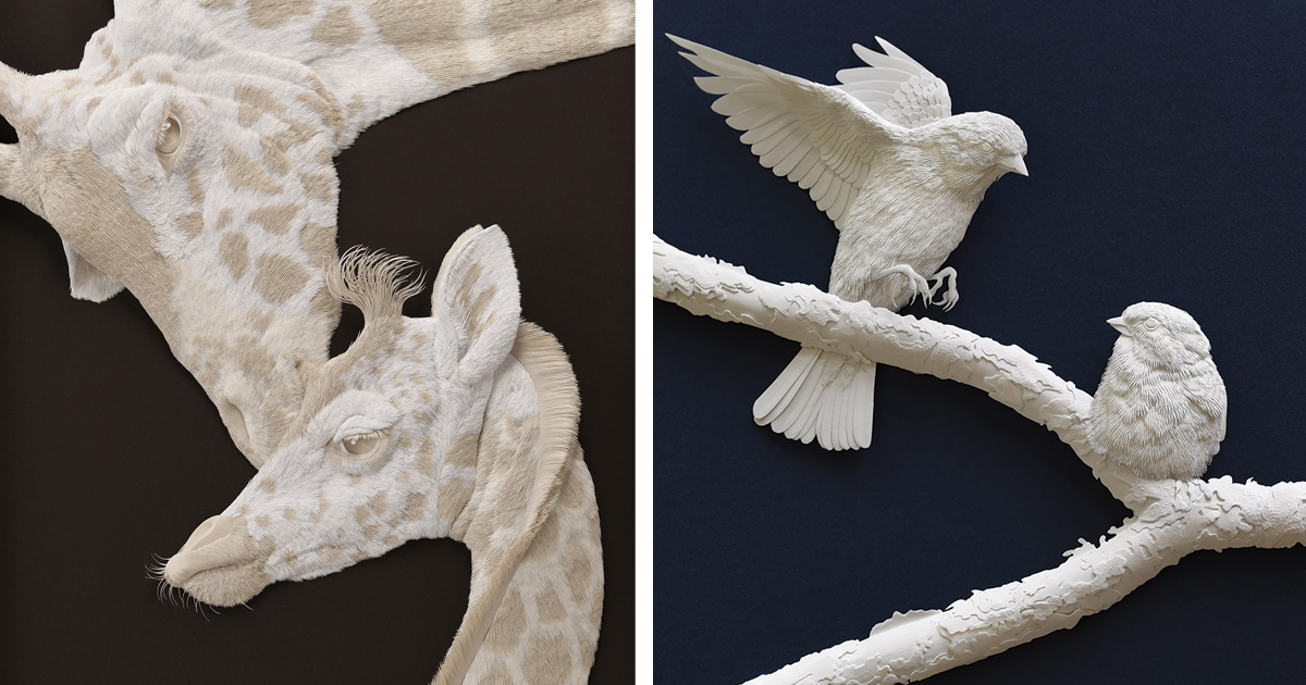 Meticulosas esculturas animais de papel flertam com suas molduras 01