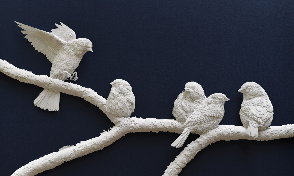 Meticulosas esculturas animais de papel flertam com suas molduras 03