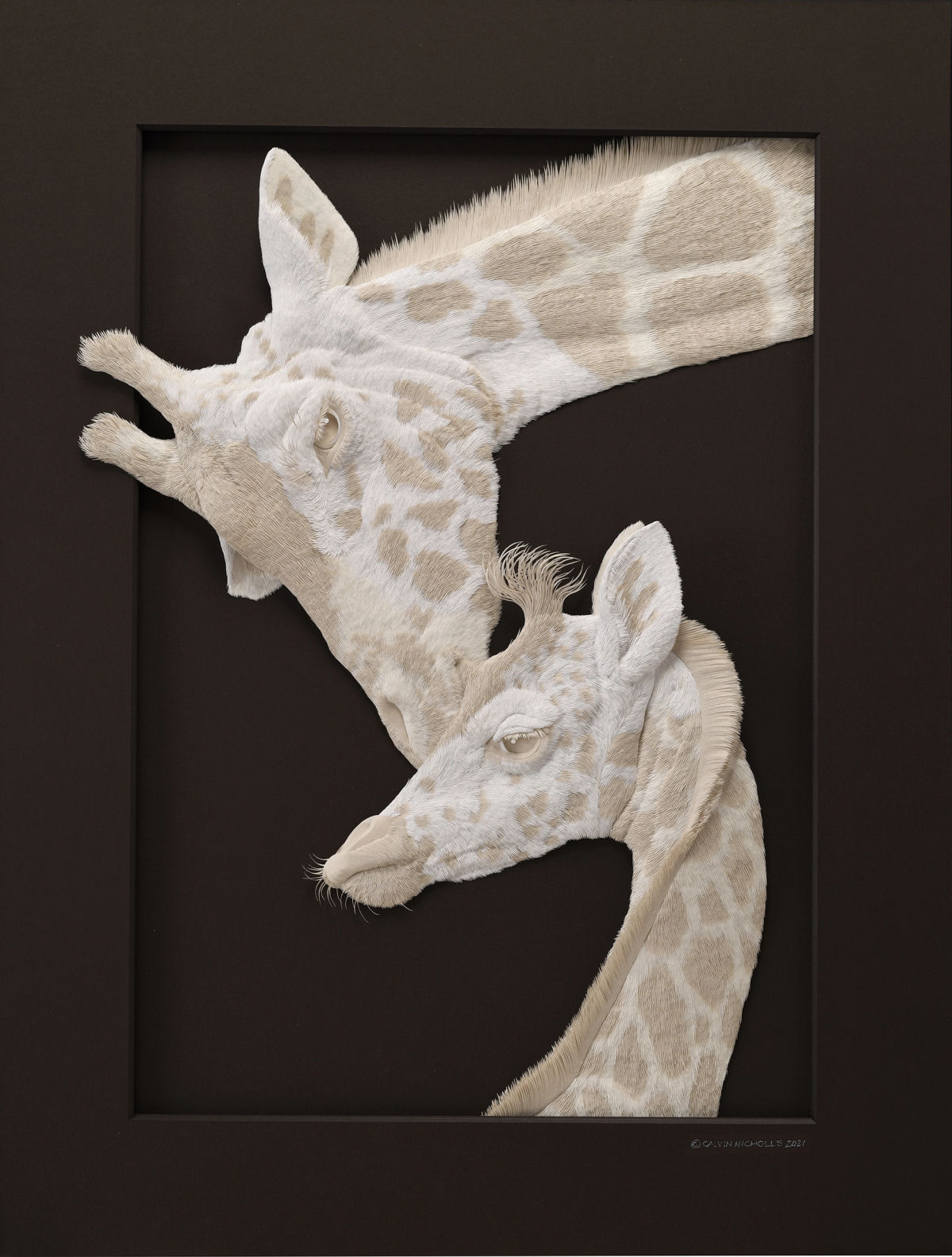 Meticulosas esculturas animais de papel flertam com suas molduras 04