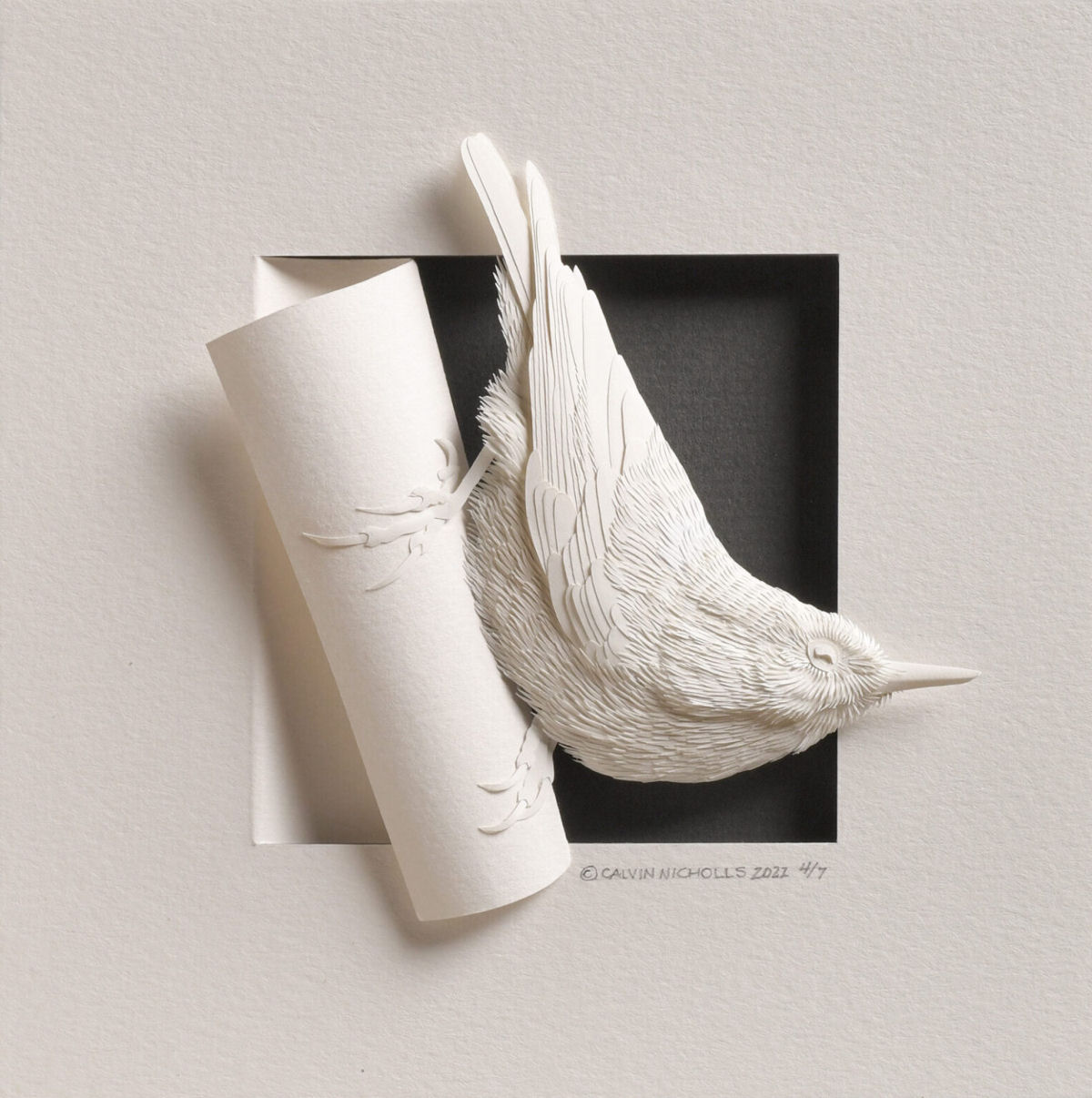 Meticulosas esculturas animais de papel flertam com suas molduras 06