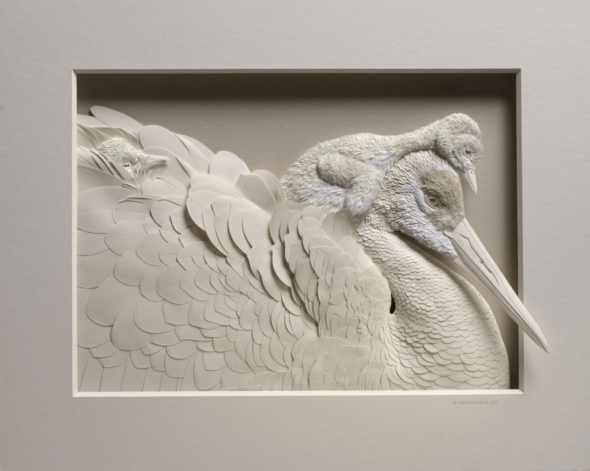 Meticulosas esculturas animais de papel flertam com suas molduras 07
