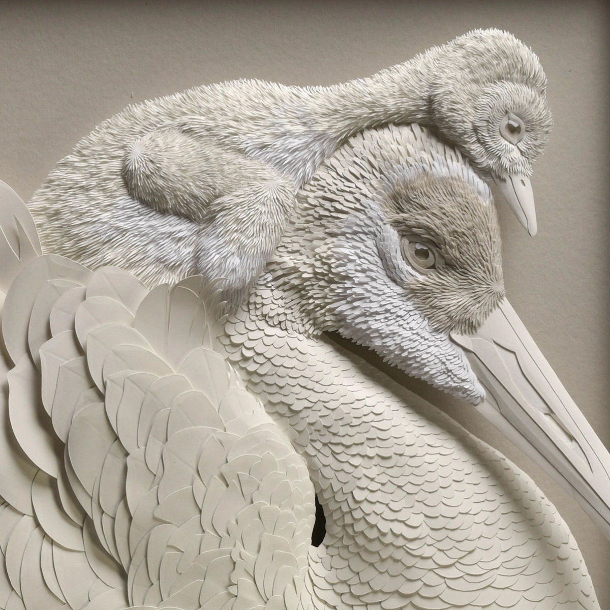 Meticulosas esculturas animais de papel flertam com suas molduras 08