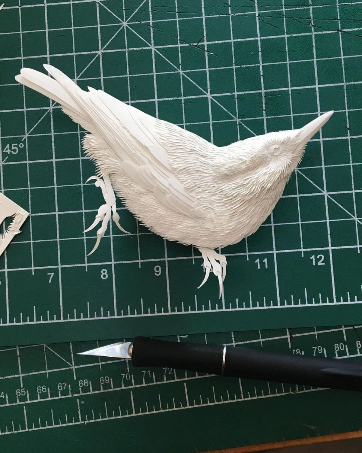 Meticulosas esculturas animais de papel flertam com suas molduras 09