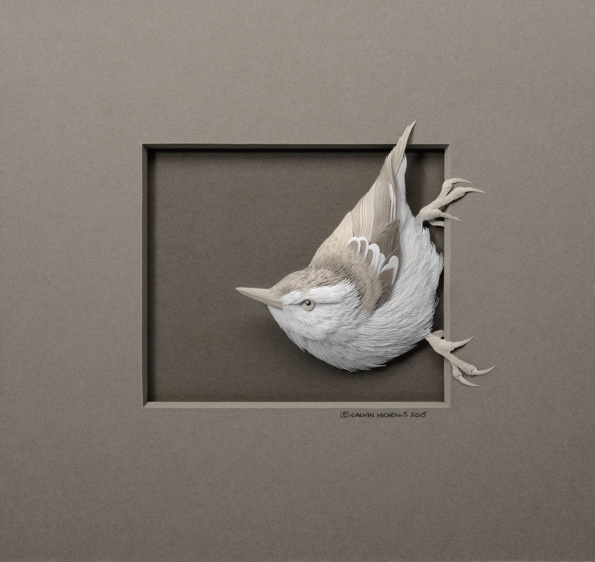 Esculturas animais de papel detalhadas emergem de quadros em alto relevo 07