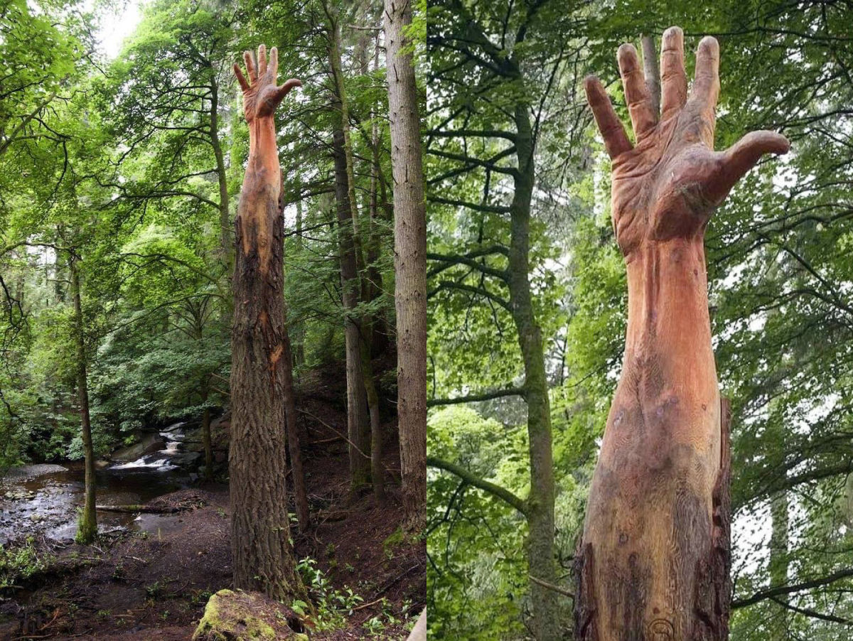 Artista usa motosserra para transformar árvore danificada em uma mão que alcança o céu 01