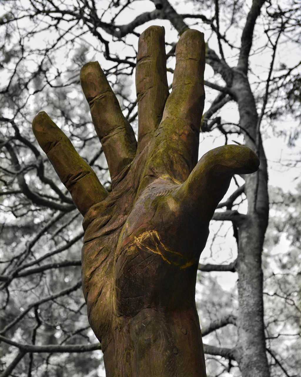 Artista usa motosserra para transformar árvore danificada em uma mão que alcança o céu 04
