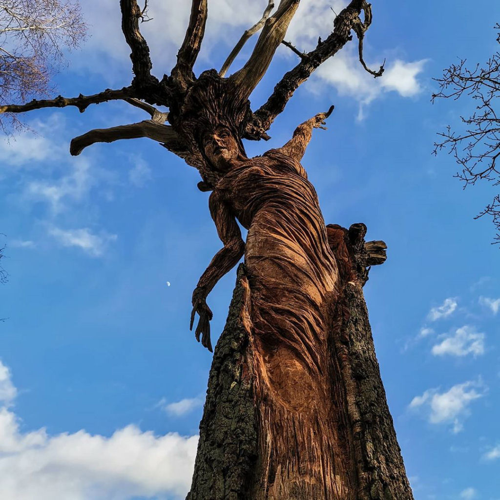 Artista usa motosserra para transformar árvore danificada em uma mão que alcança o céu 07