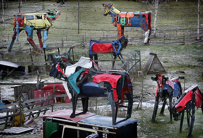 Artista finlandesa utiliza peas de carros velhos para fazer esculturas gigantes de vacas 03