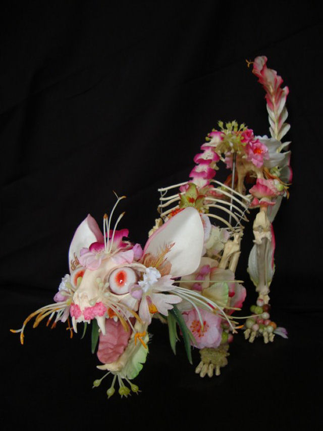 Artista holandês cria sinistras esculturas de esqueletos de animais com flores 04