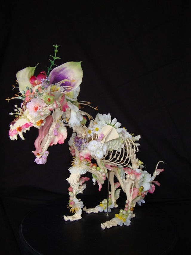 Artista holandês cria sinistras esculturas de esqueletos de animais com flores 05