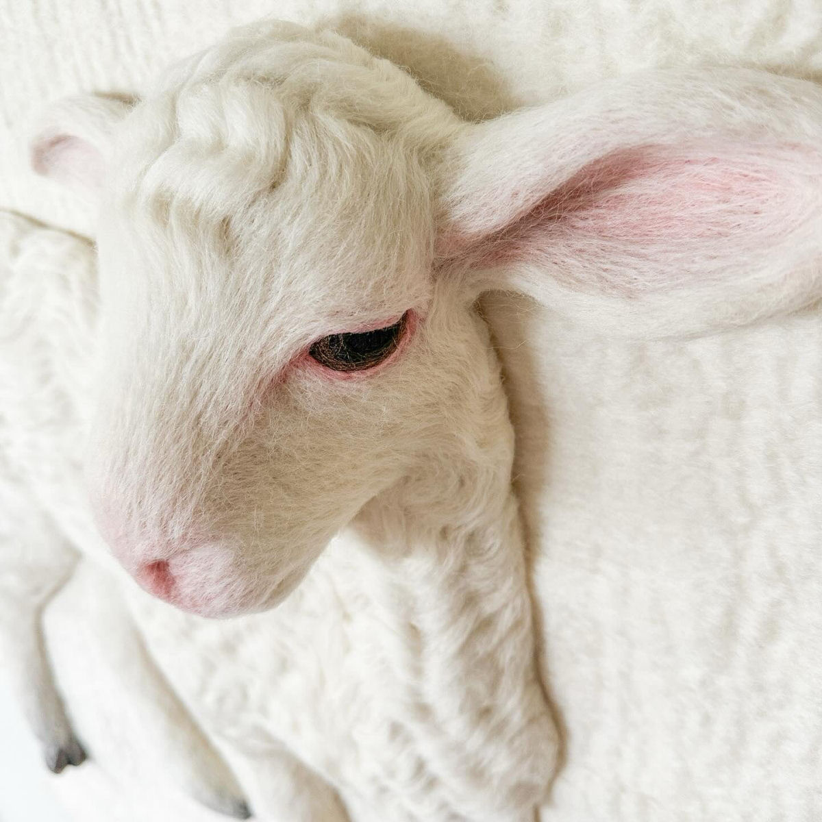 Um par de cordeiros de feltro fofos ganha vida em um pasto lanoso