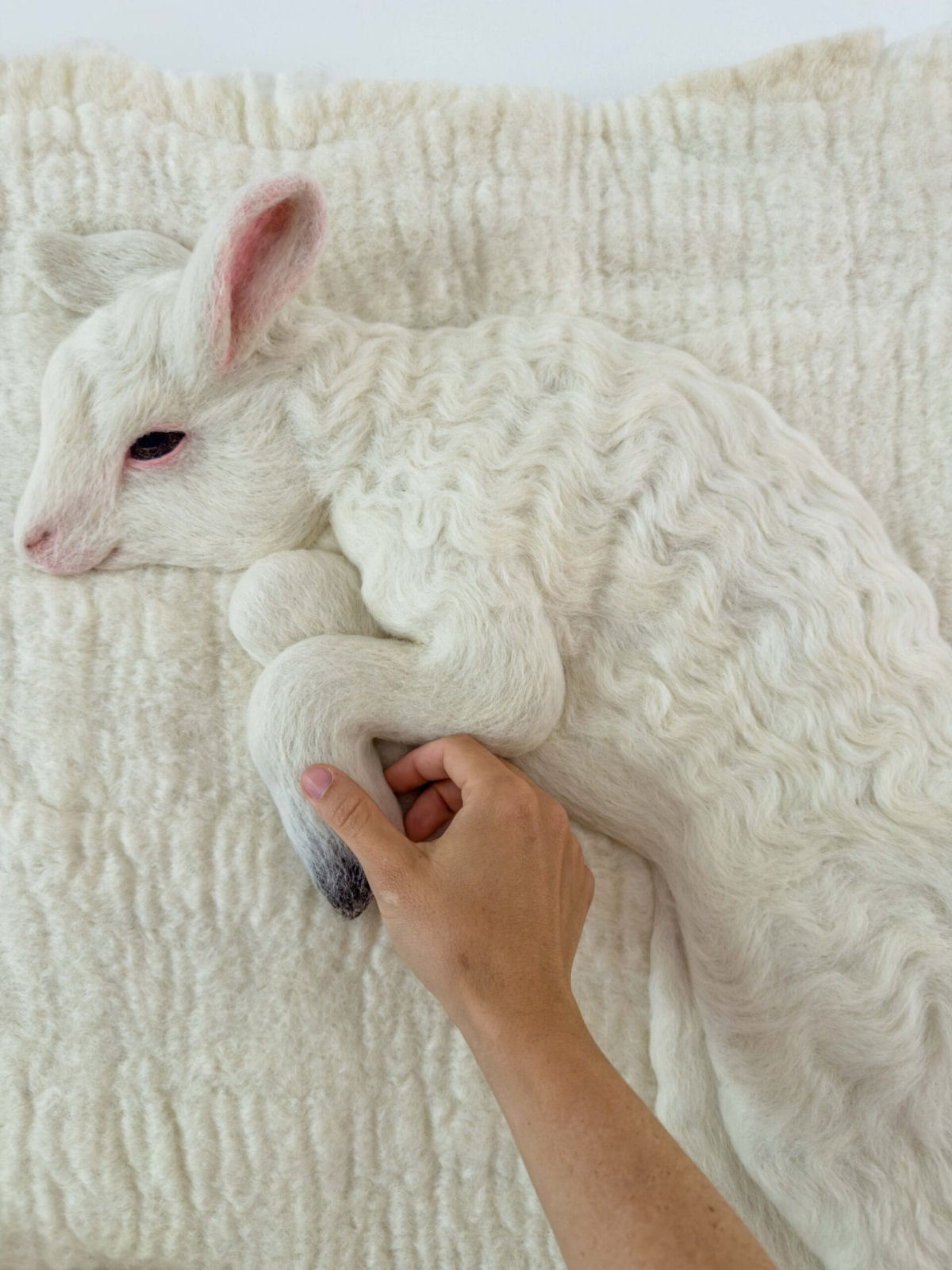 Um par de cordeiros de feltro fofos ganha vida em um pasto lanoso