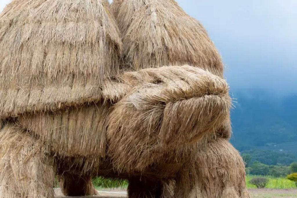 Animais mticos feitos de palha tomam conta do campo no Japo no Festival de Arte Wara de 2025