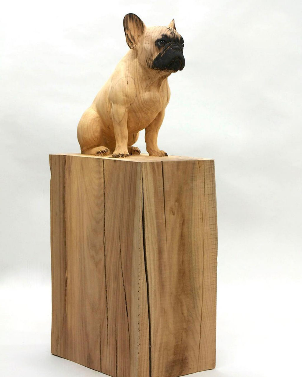 Artista transforma troncos de árvores em esculturas de animais ultrarrealistas 02