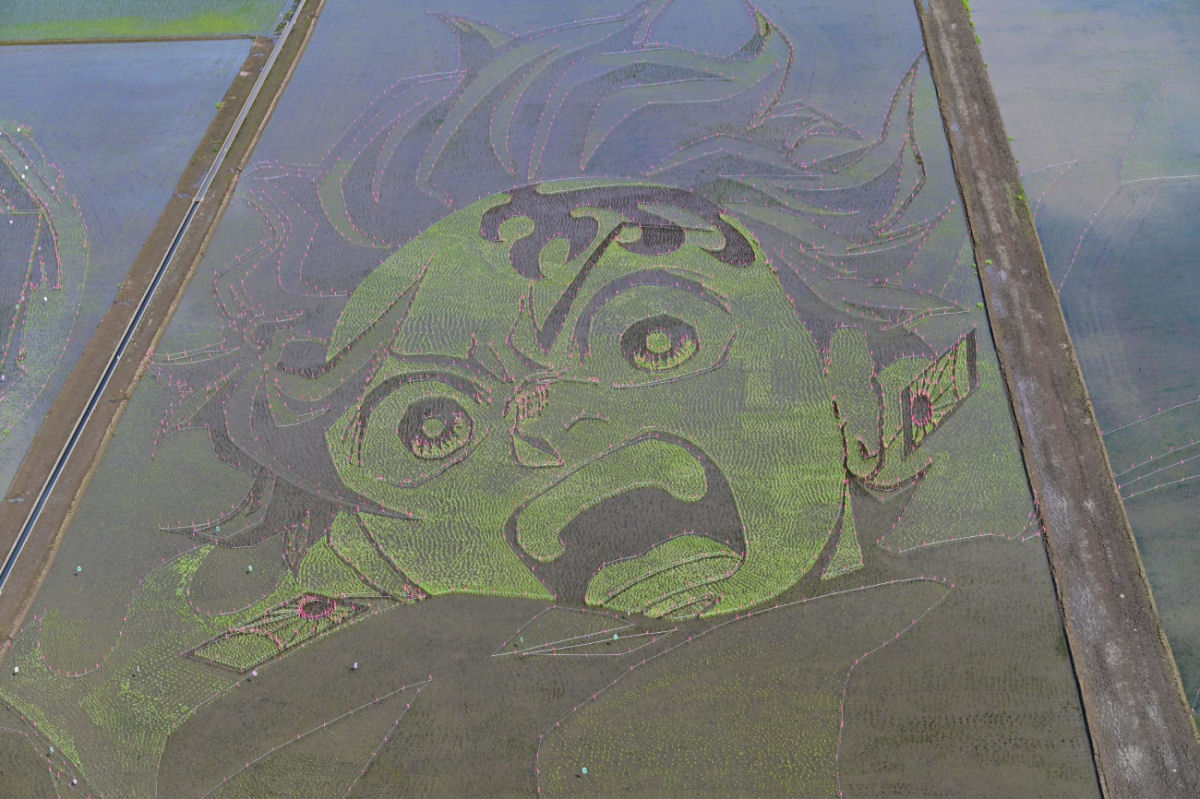Cidade japonesa famosa por sua arte em arrozais dedica peça deste ano a