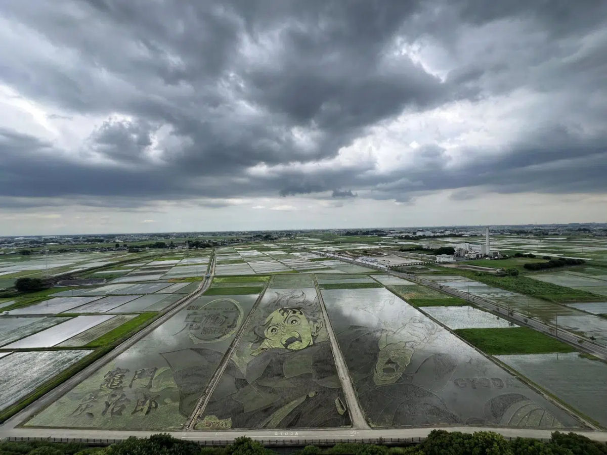 Cidade japonesa famosa por sua arte em arrozais dedica peça deste ano a