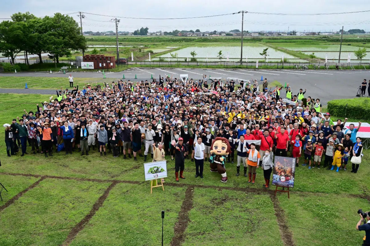 Cidade japonesa famosa por sua arte em arrozais dedica peça deste ano a