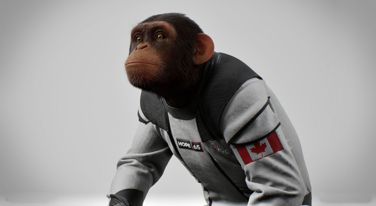 No curta 'Hope-65', um chimpanz