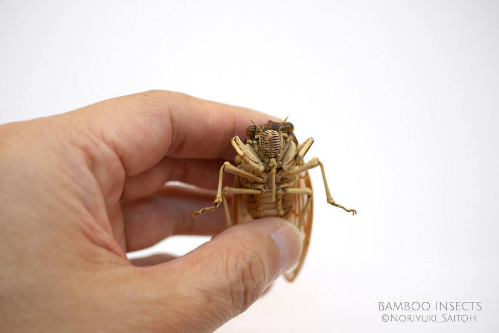 Talentoso artista japonês cria insetos de tamanho natural exclusivamente de bambu 02