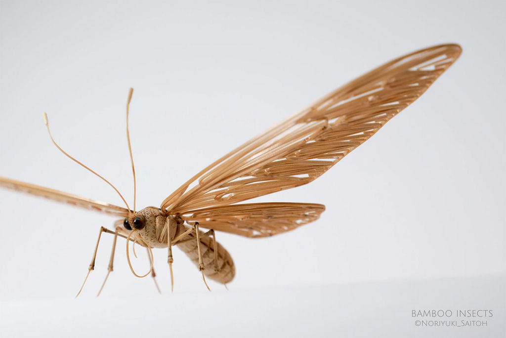 Talentoso artista japonês cria insetos de tamanho natural exclusivamente de bambu 05