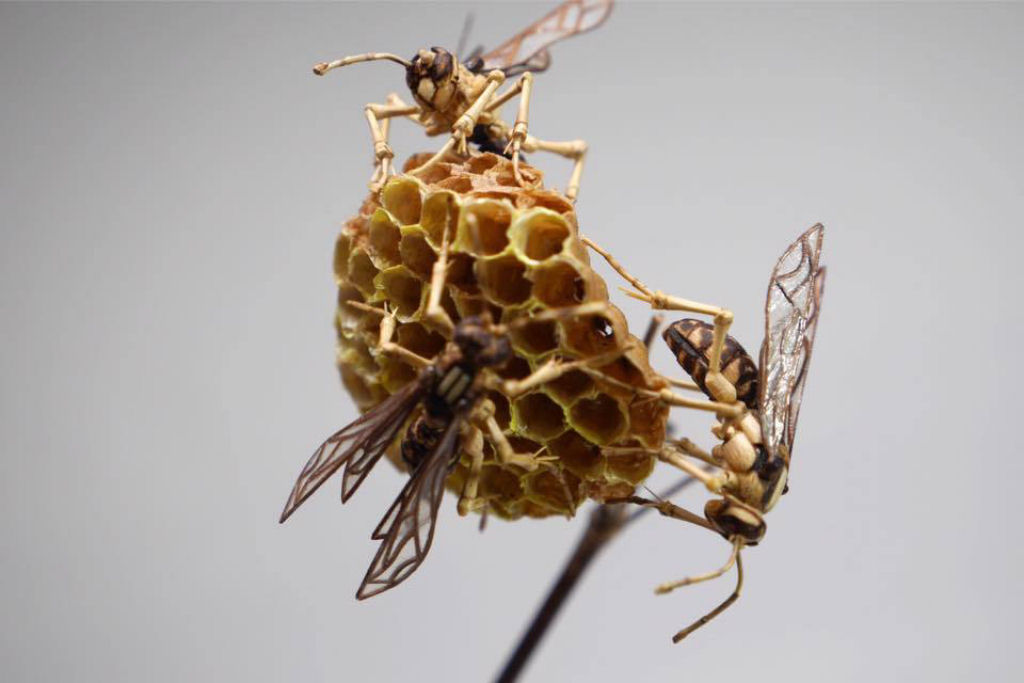 Talentoso artista japonês cria insetos de tamanho natural exclusivamente de bambu 10