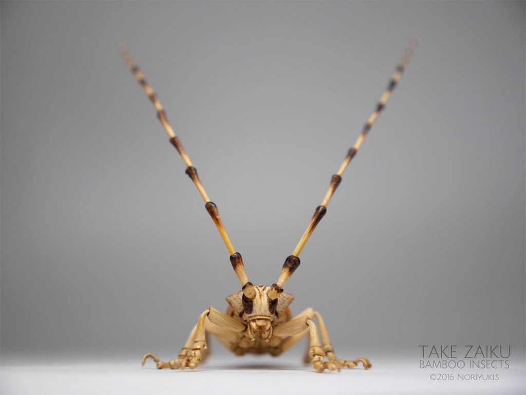 Talentoso artista japonês cria insetos de tamanho natural exclusivamente de bambu 11