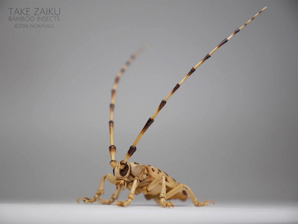 Talentoso artista japonês cria insetos de tamanho natural exclusivamente de bambu 12
