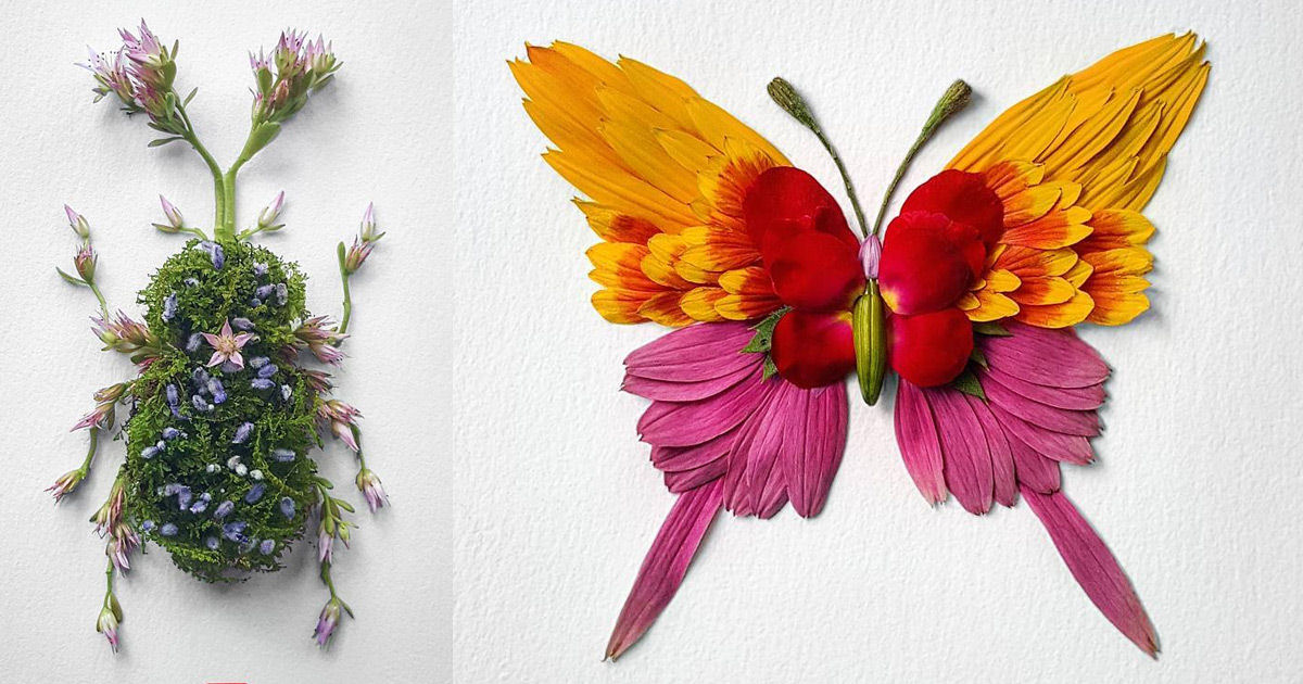 Belos arranjos de flores em forma de borboletas, mariposas e insetos exóticos 01