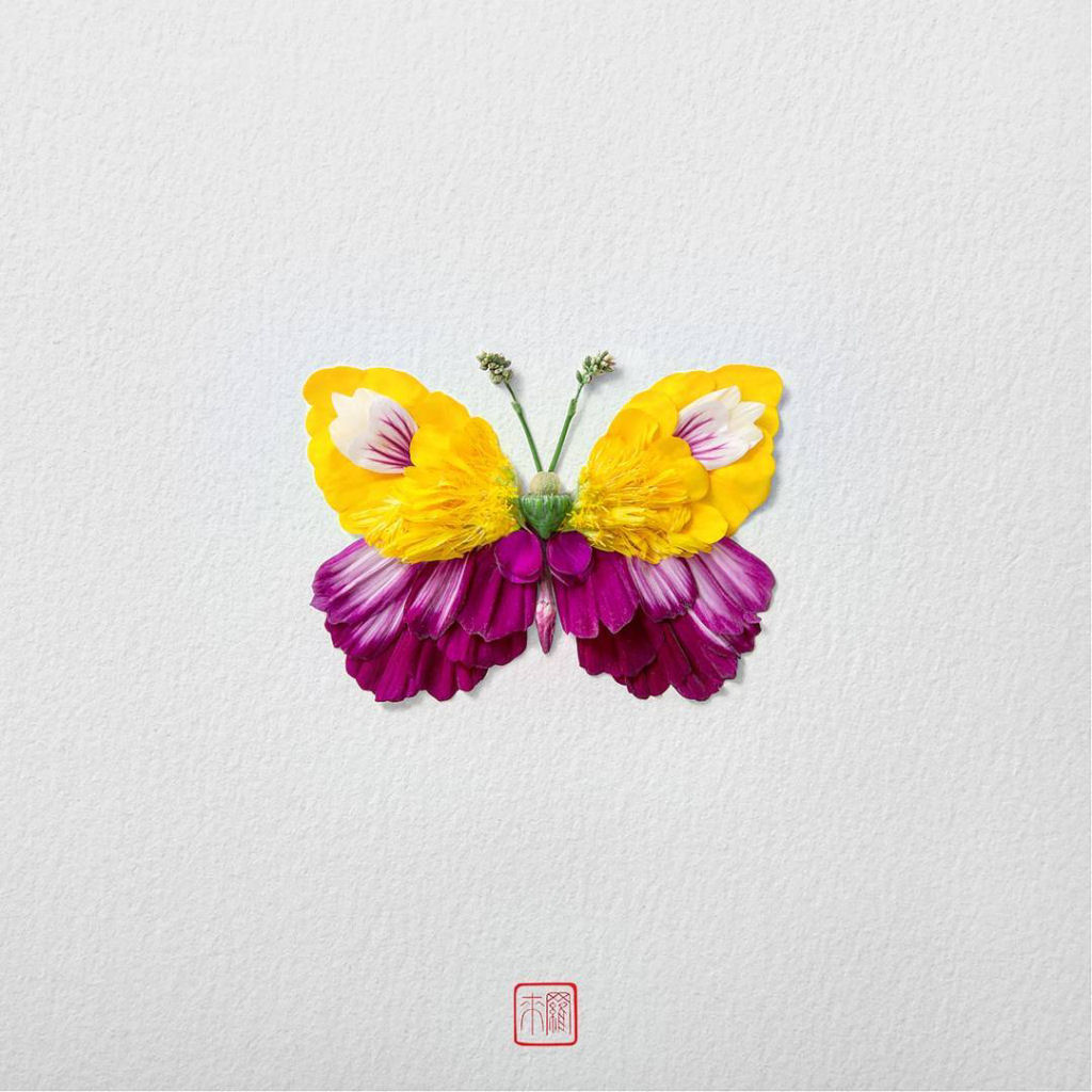 Belos arranjos de flores em forma de borboletas, mariposas e insetos exticos 03