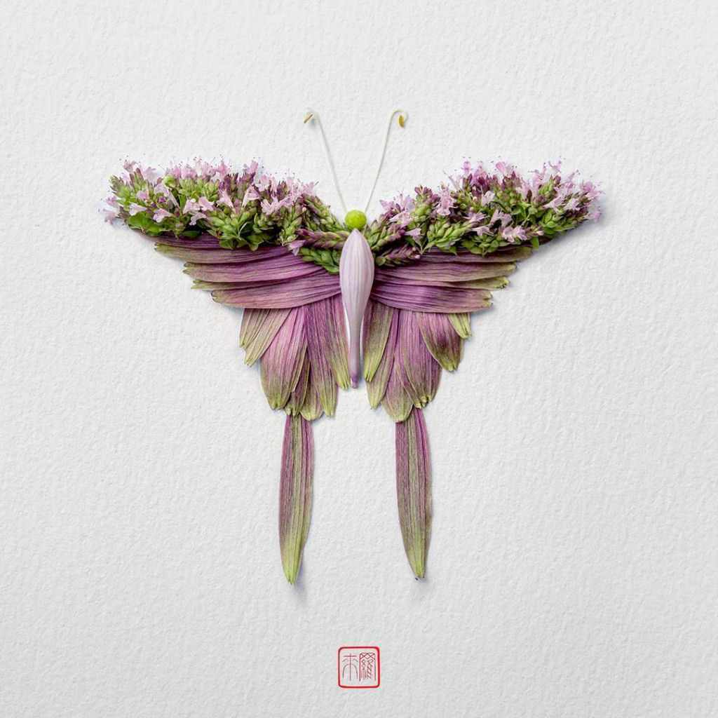Belos arranjos de flores em forma de borboletas, mariposas e insetos exticos 05