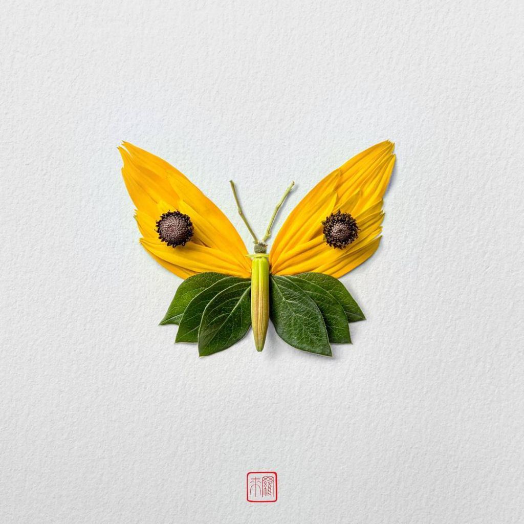 Belos arranjos de flores em forma de borboletas, mariposas e insetos exóticos 09