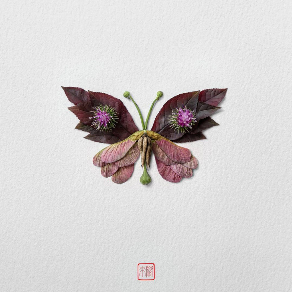 Belos arranjos de flores em forma de borboletas, mariposas e insetos exóticos 10