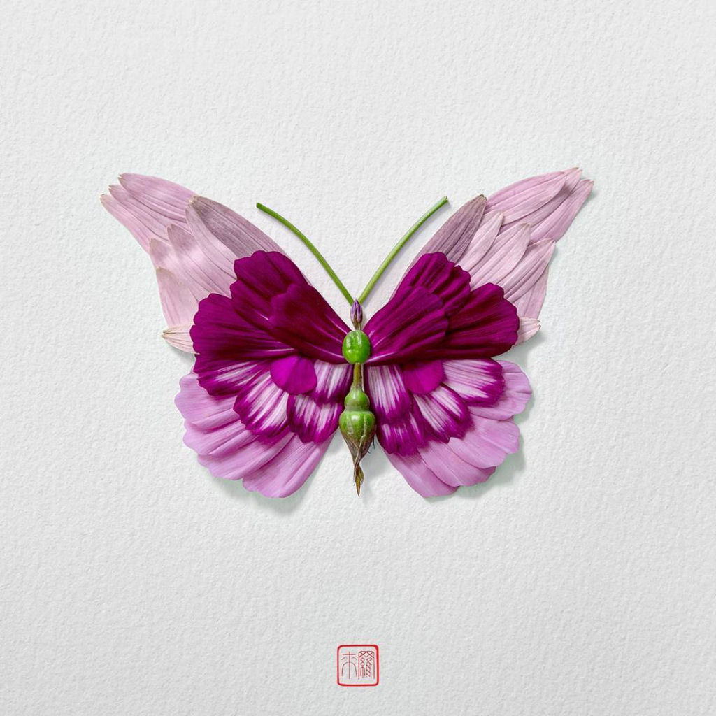 Belos arranjos de flores em forma de borboletas, mariposas e insetos exóticos 11