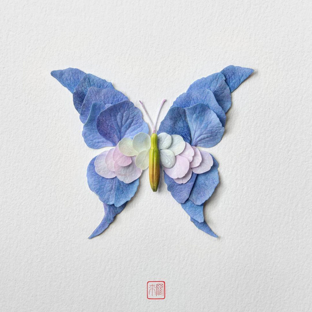 Belos arranjos de flores em forma de borboletas, mariposas e insetos exóticos 12