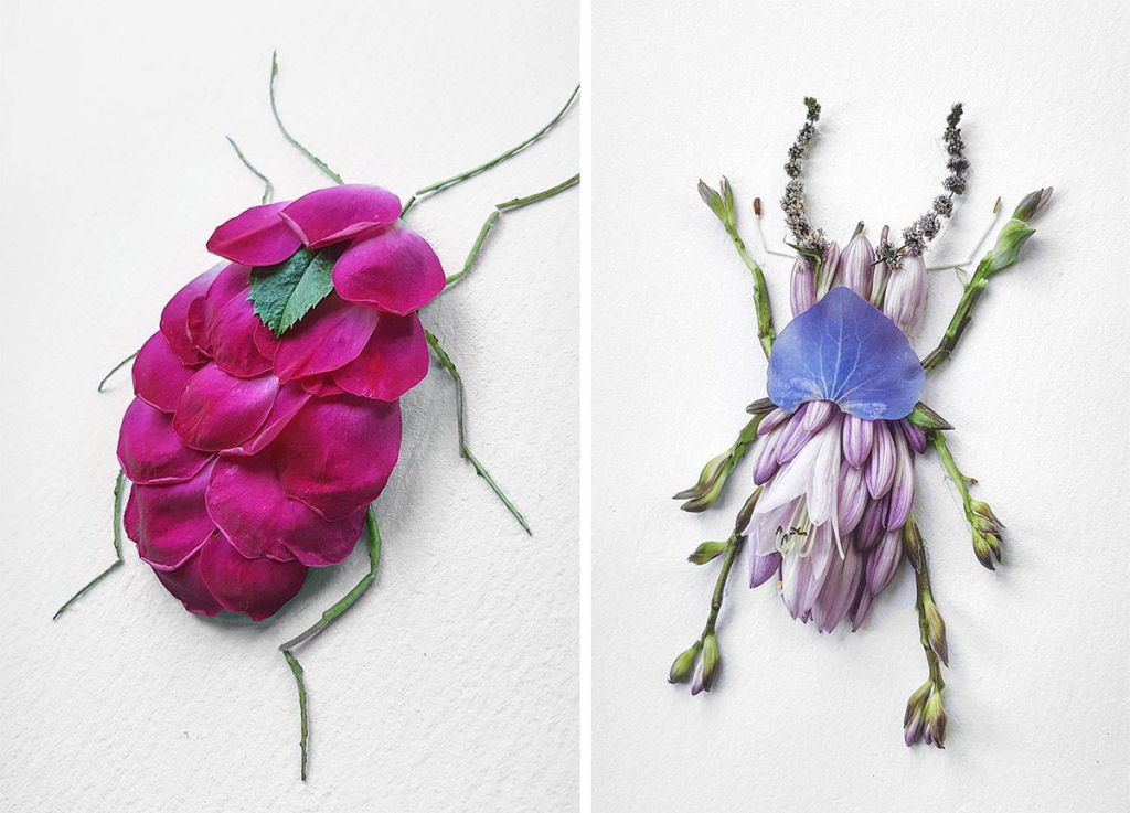 Belos arranjos de flores em forma de borboletas, mariposas e insetos exóticos 18