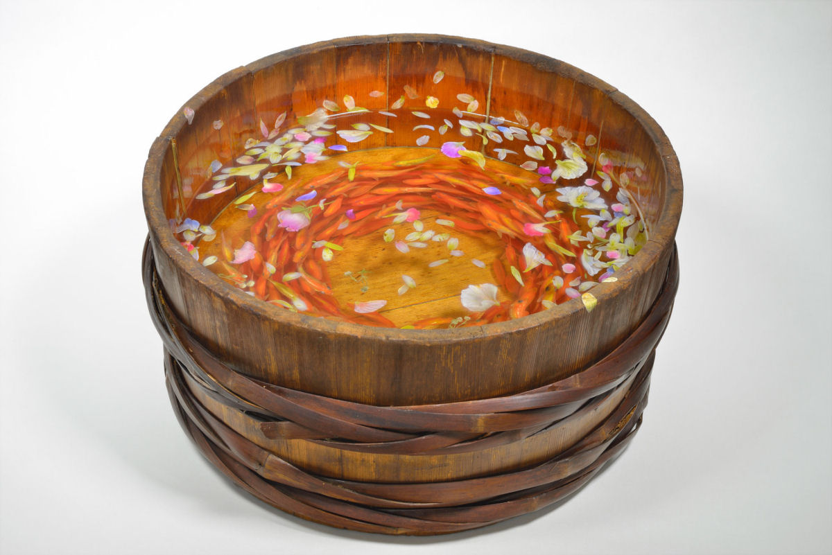 Os peixinhos dourados abstratos pintados em acrílico entre camadas de resina de um artista japonês 02