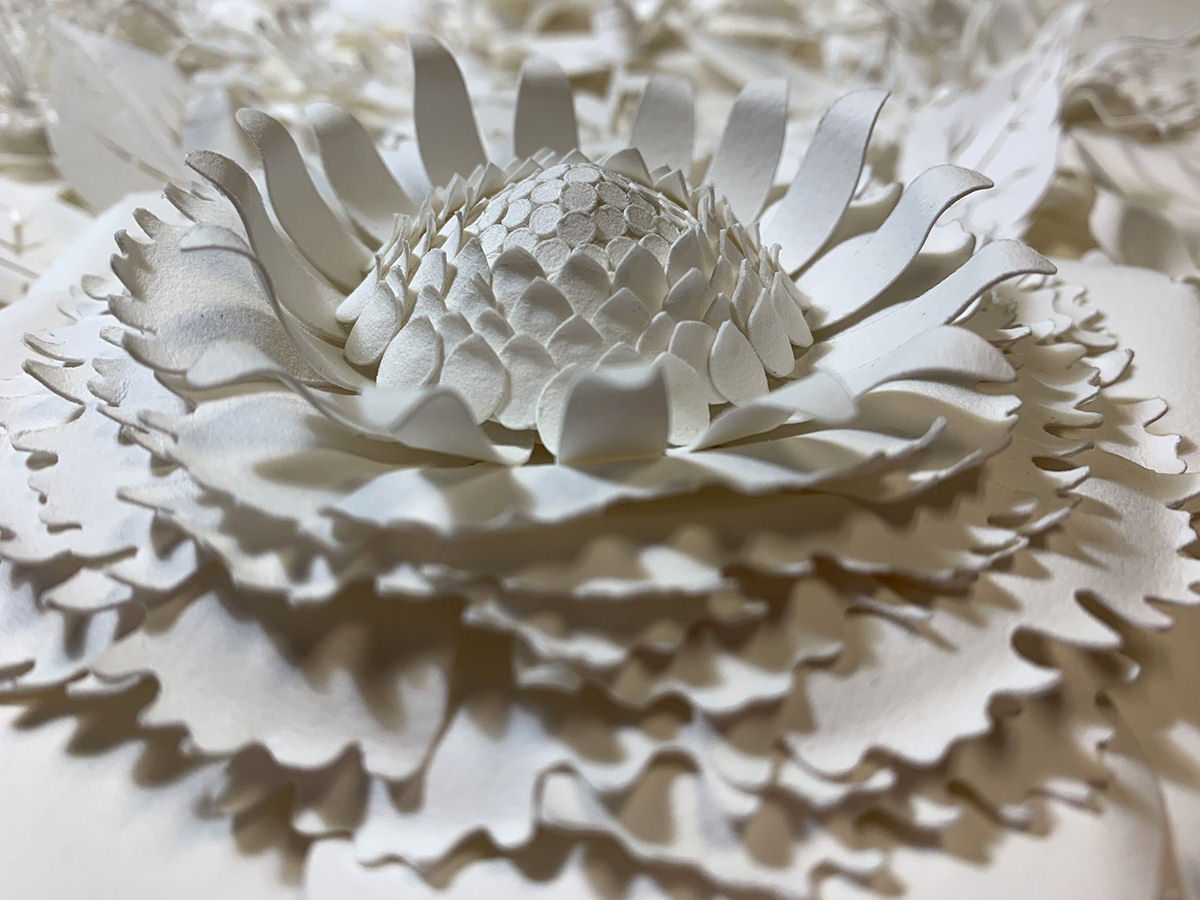 Artista cria 'jardins' exuberantes com flores de papel caprichosamente cortadas 08